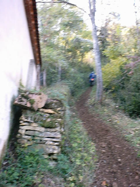 p63