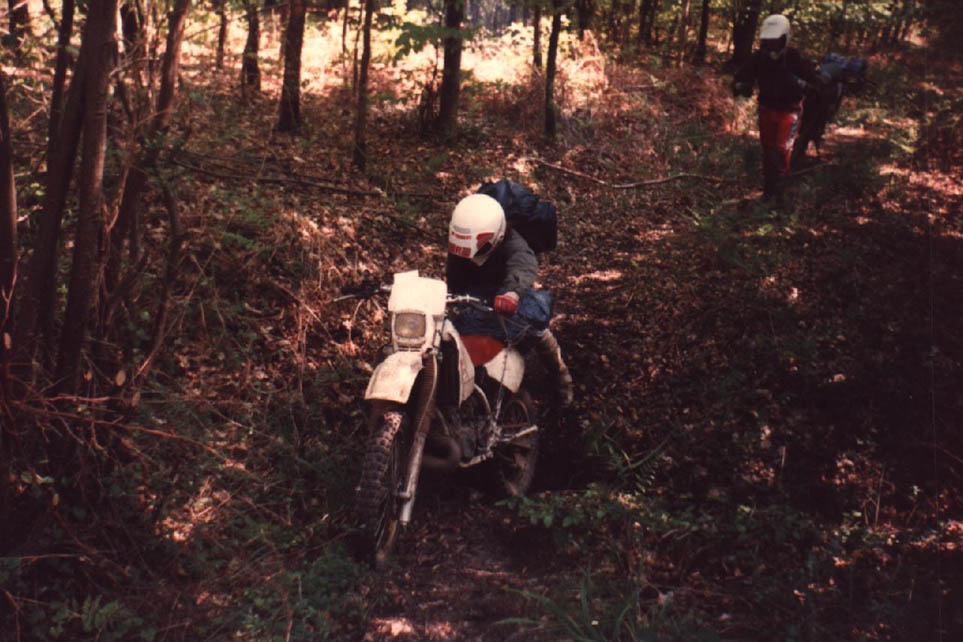 ph-26