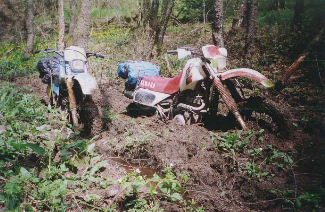 ph-32
