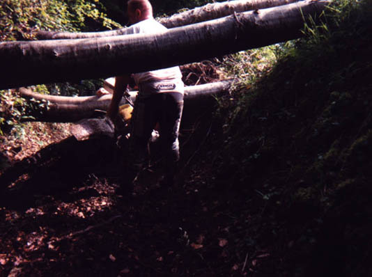 p41-14
