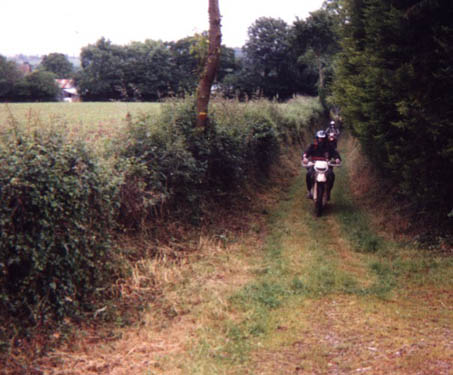 p50-23