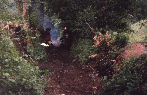 p50-25