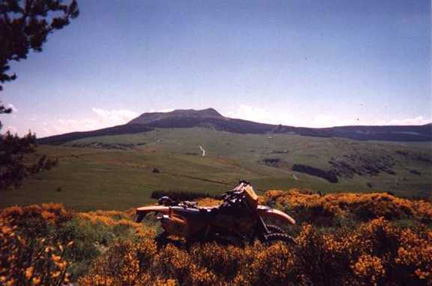 p09