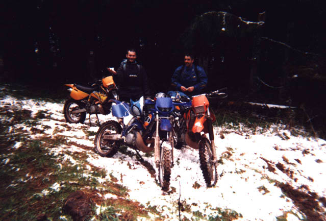 CLTW0000311