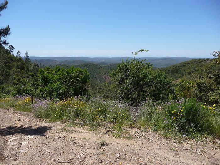 P1000132