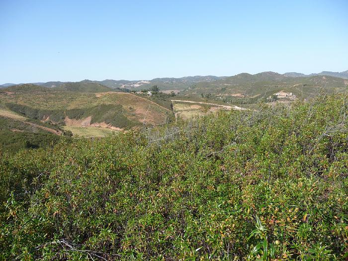 P1000149