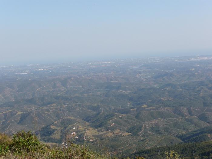 P1000302