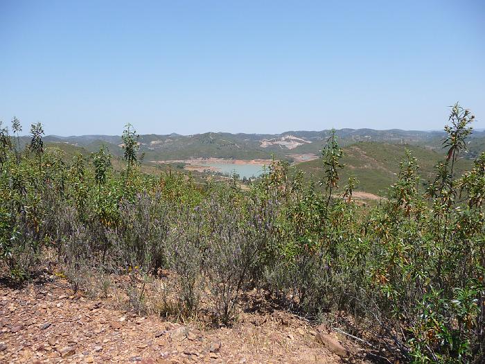 P1000328
